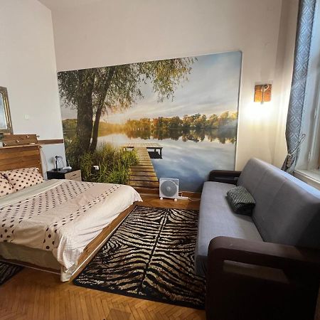 Apartament Ultracentral 2 Piata Muzeului Cluj-Napoca Extérieur photo