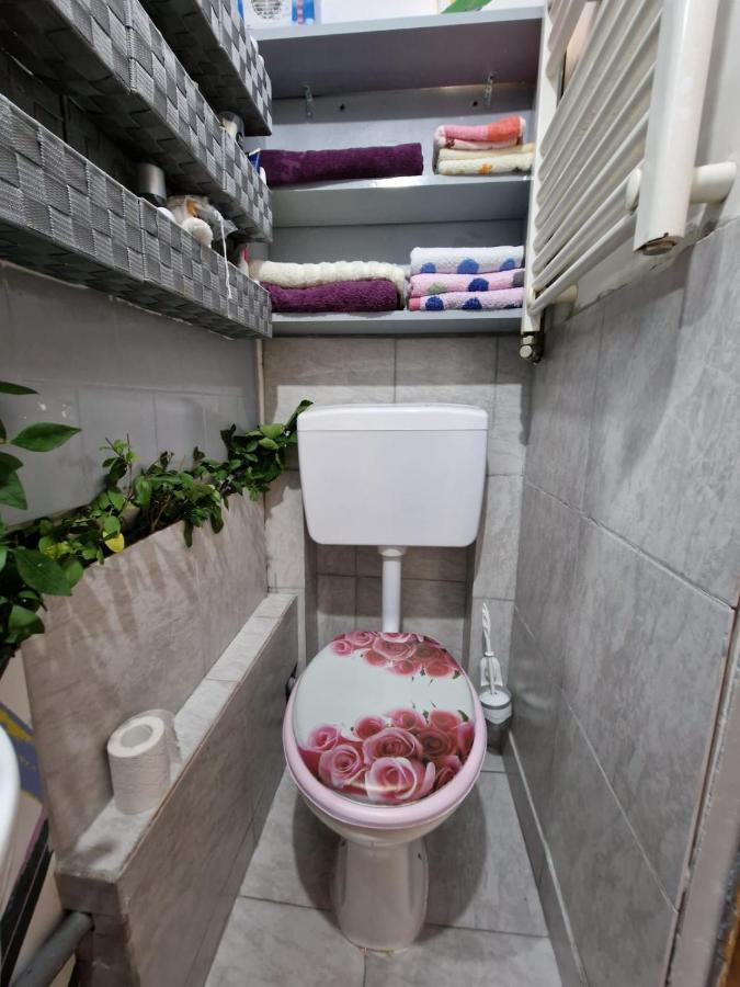 Apartament Ultracentral 2 Piata Muzeului Cluj-Napoca Extérieur photo
