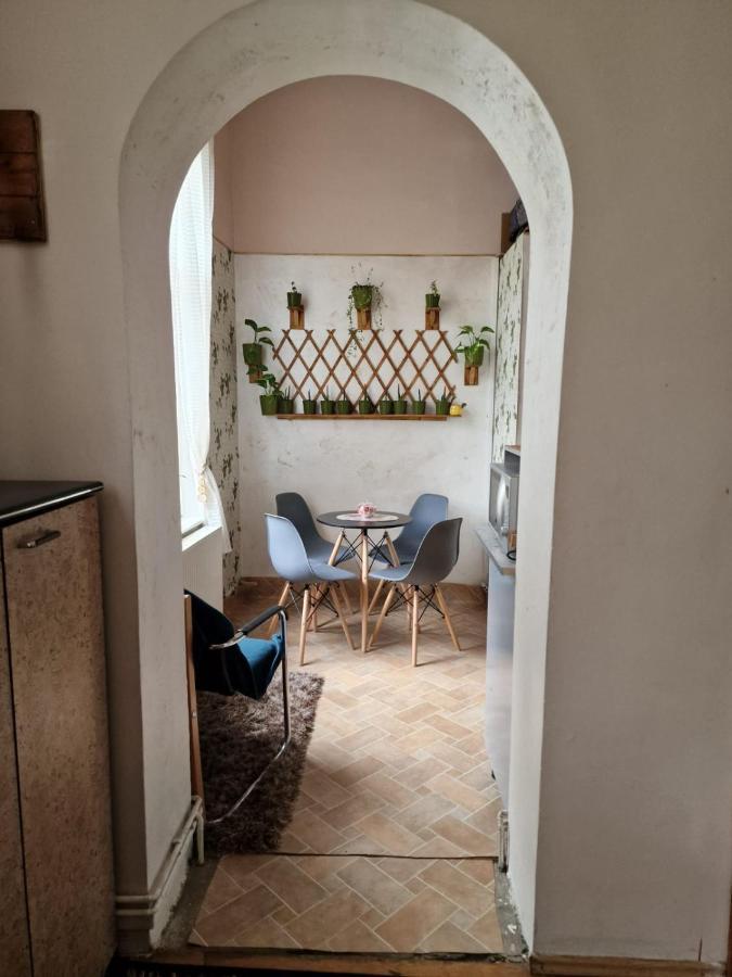 Apartament Ultracentral 2 Piata Muzeului Cluj-Napoca Extérieur photo