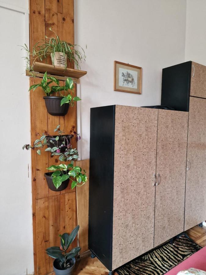 Apartament Ultracentral 2 Piata Muzeului Cluj-Napoca Extérieur photo